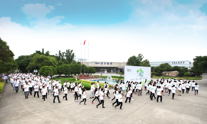 專題報(bào)道