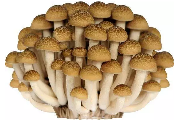 圖片關鍵詞 http://www.ahppw.cn/ewebeditor/uploadfile/20170914091421667001.png