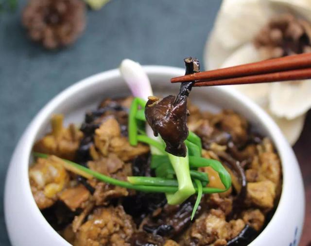 國家蘑菇地理：中國哪里的蘑菇最好吃？