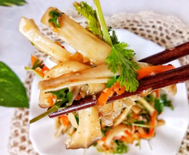 國家蘑菇地理：中國哪里的蘑菇最好吃？