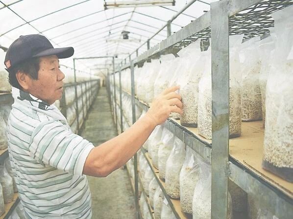 圖片關鍵詞