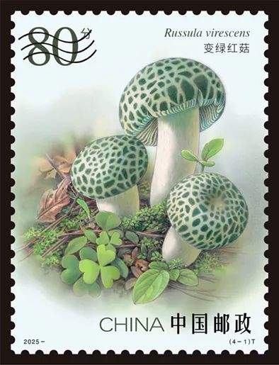 圖片關鍵詞
