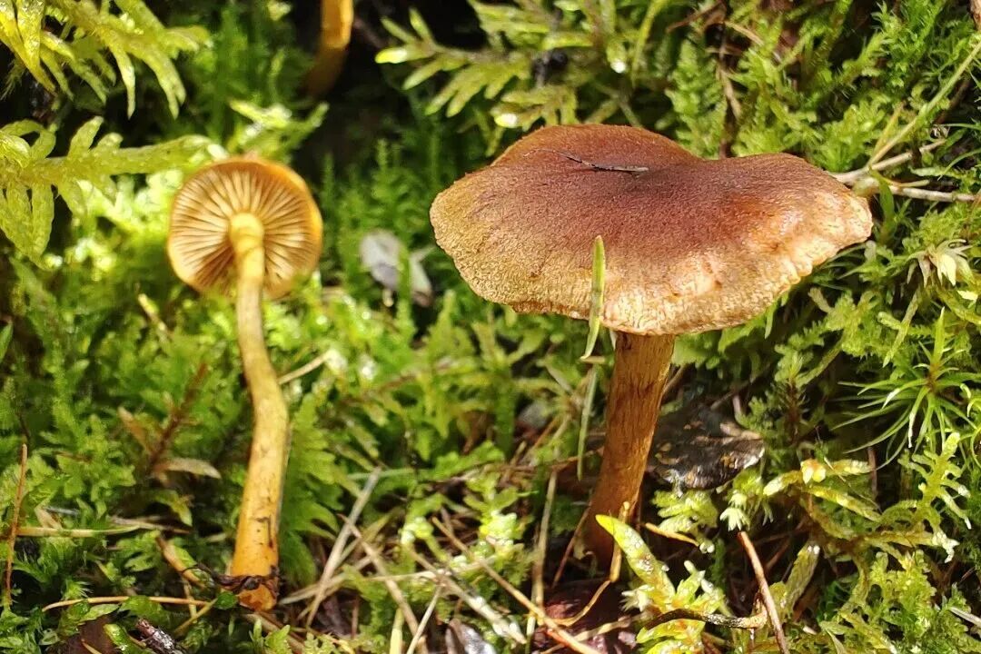 圖片關鍵詞
