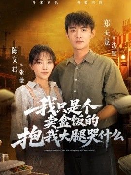 我只是個(gè)賣盒飯的抱我大腿哭什么海報(bào)
